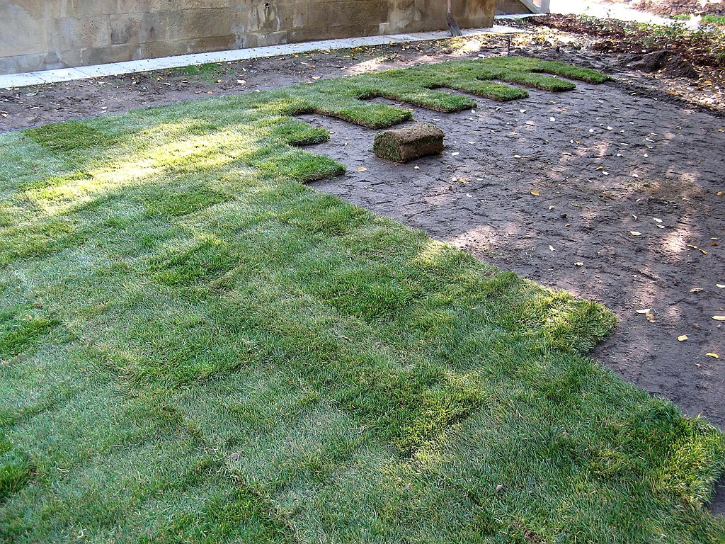 sod being installed in backyard area