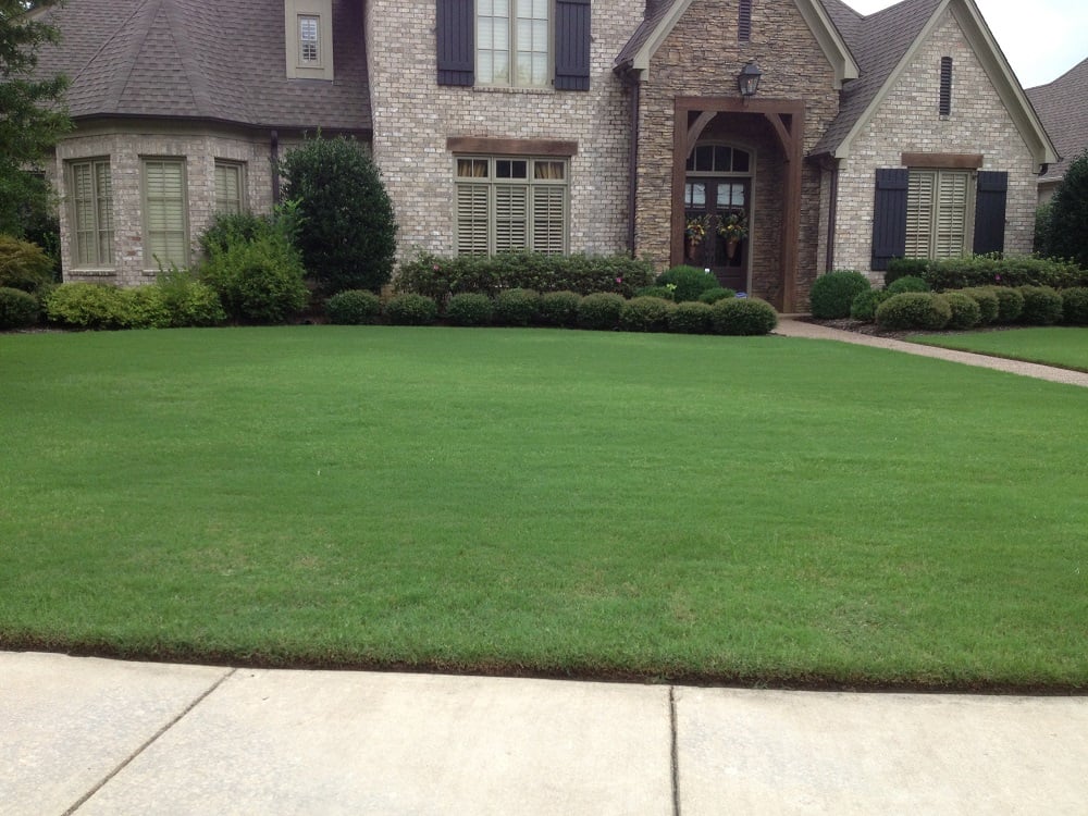 Bermuda grass without bare spots