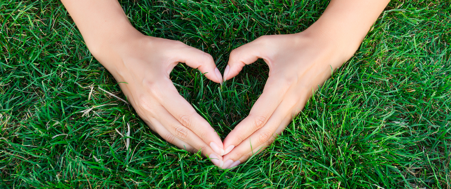 hands in the shape of a heart on healthy grass