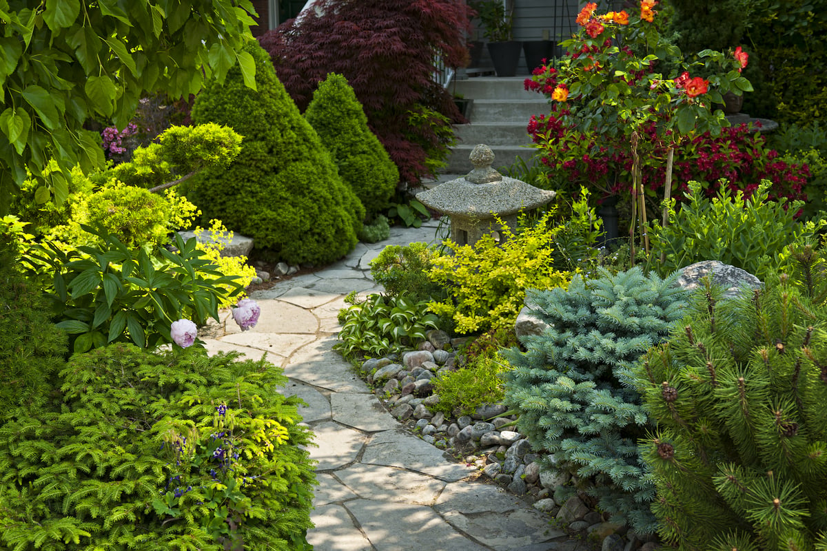 walkway surrounded by plantings and shrubs