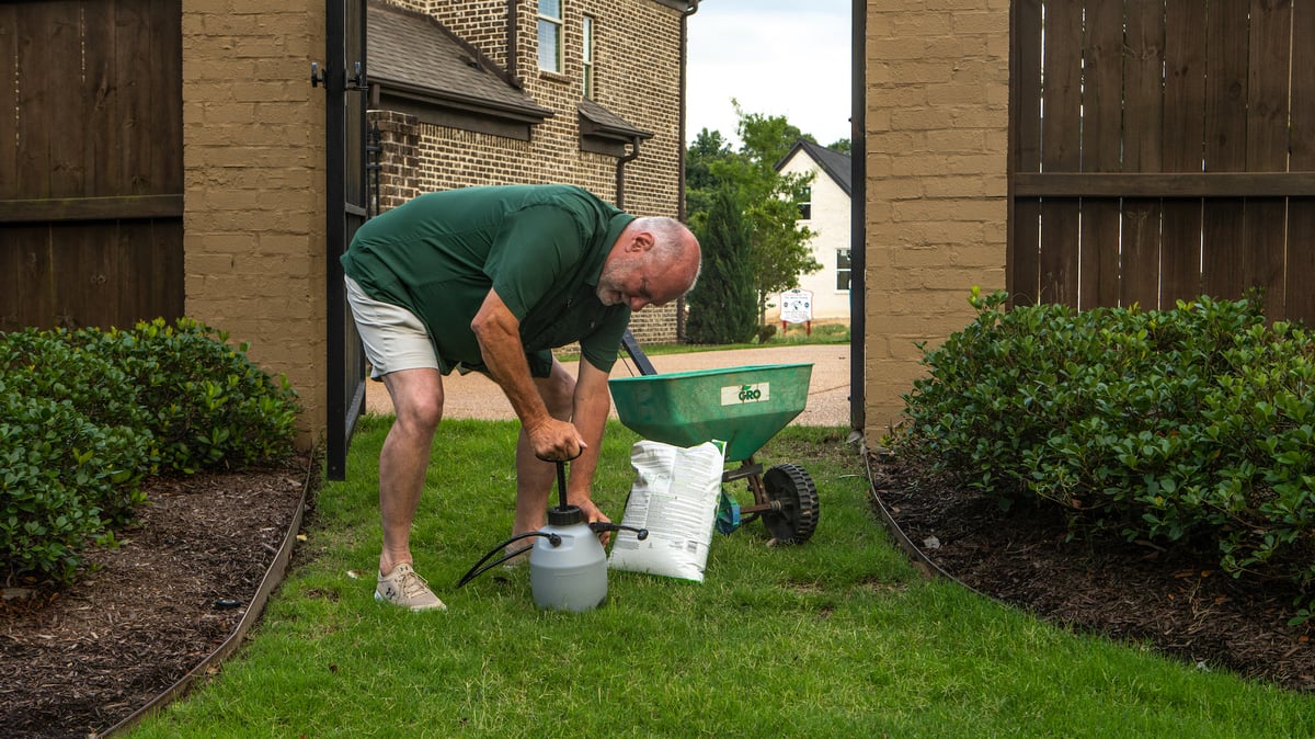 homeowner tries to fertilize lawn