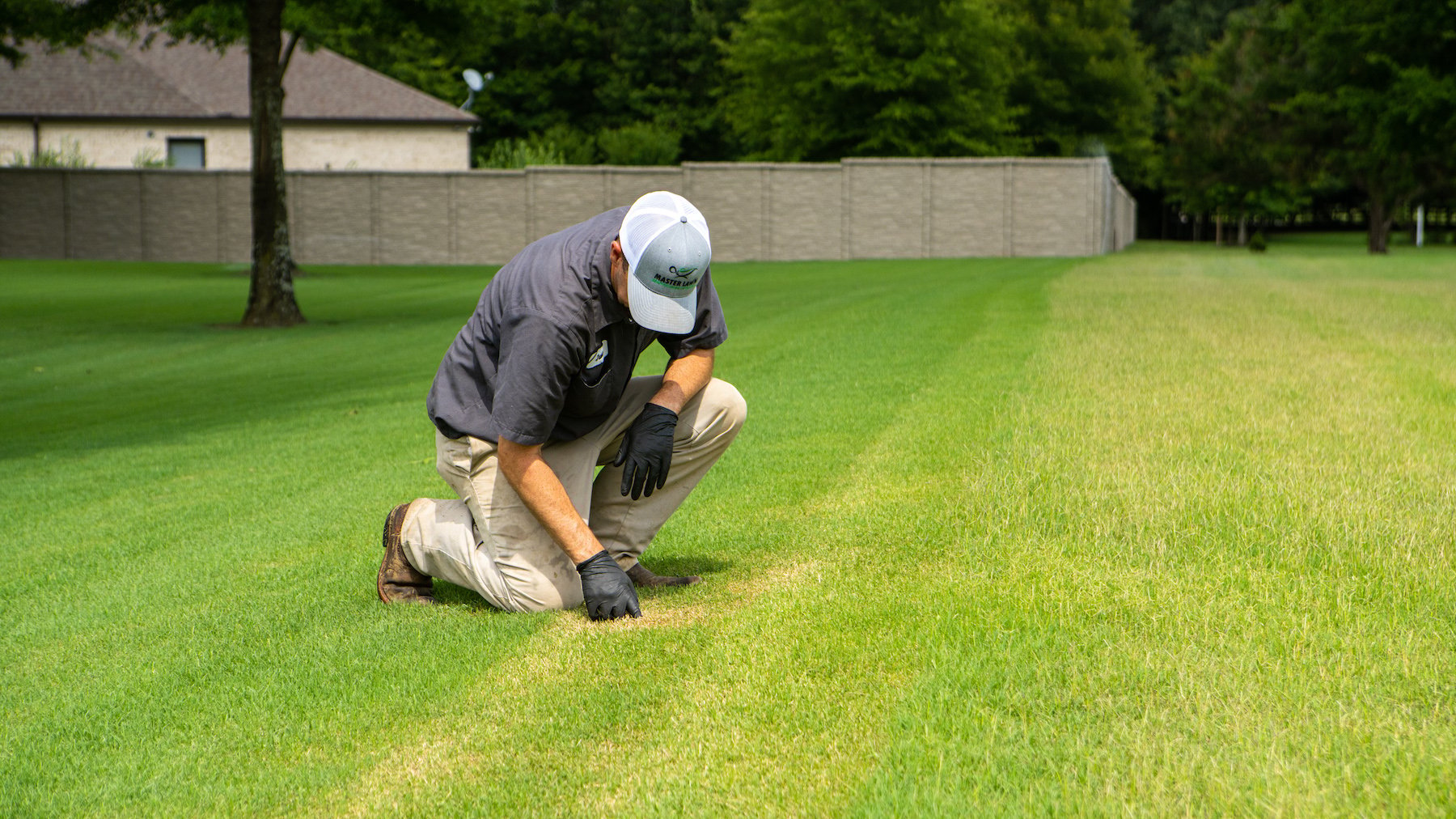 lawn care technician inspecting brown patches in lawn