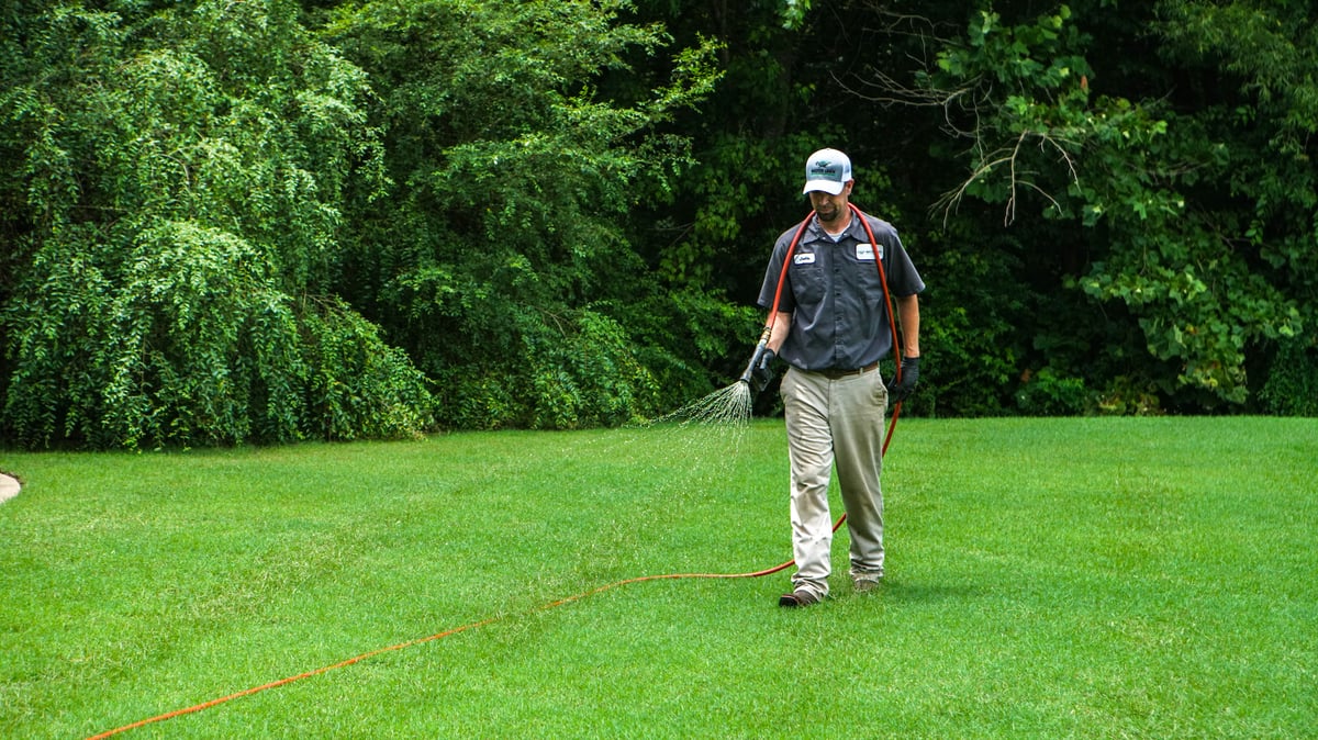 lawn care technician sprays grass for chinch bugs