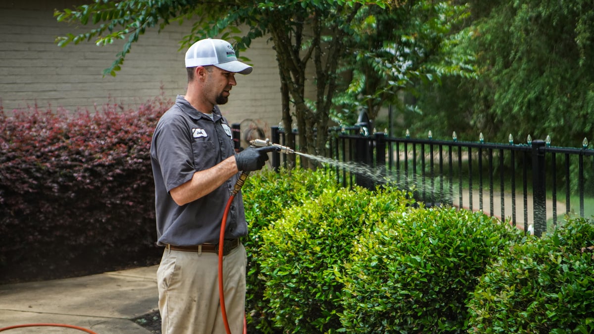 plant health care technician sprays bushes for pests