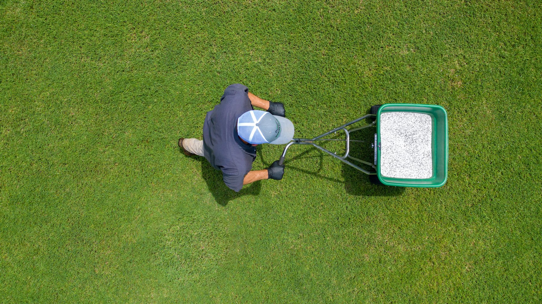 technician fertilizing a lawn