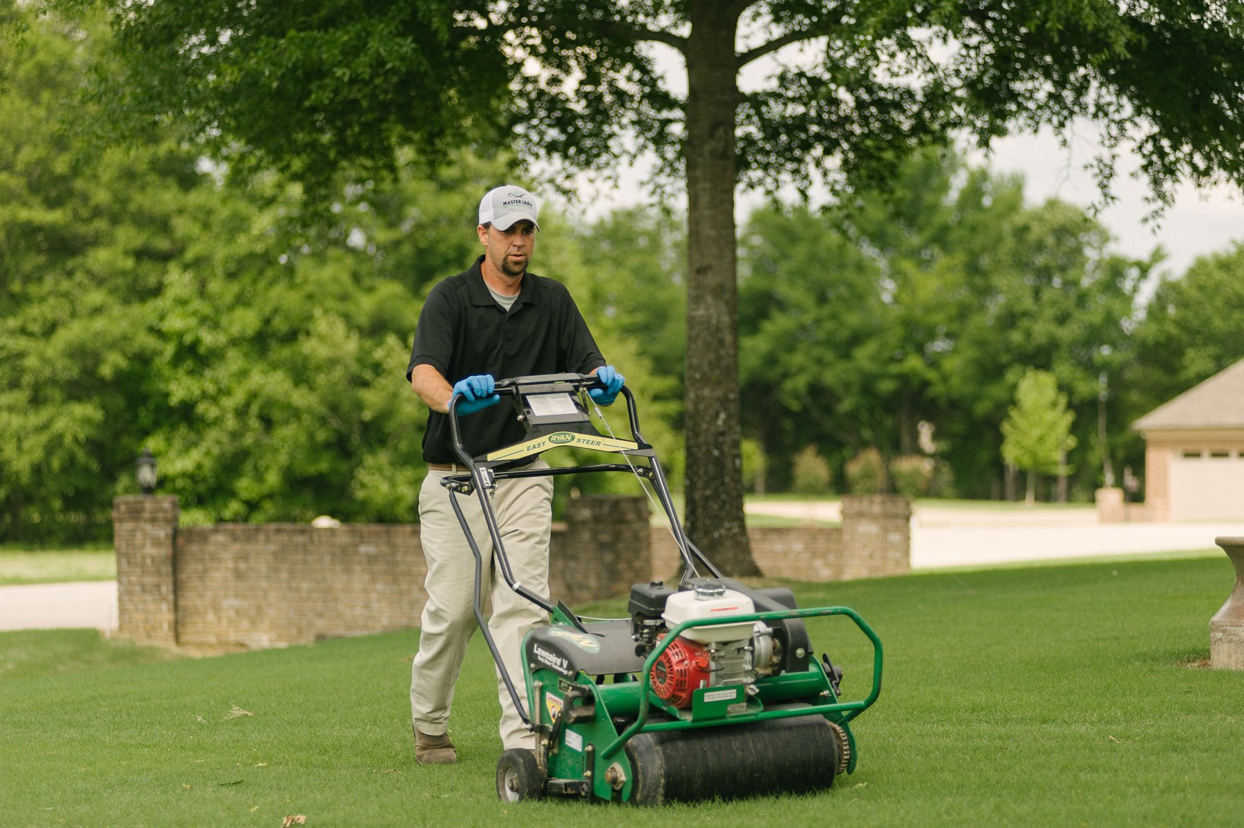 5 Things You Definitely Want to Know about Aerating & Overseeding Your