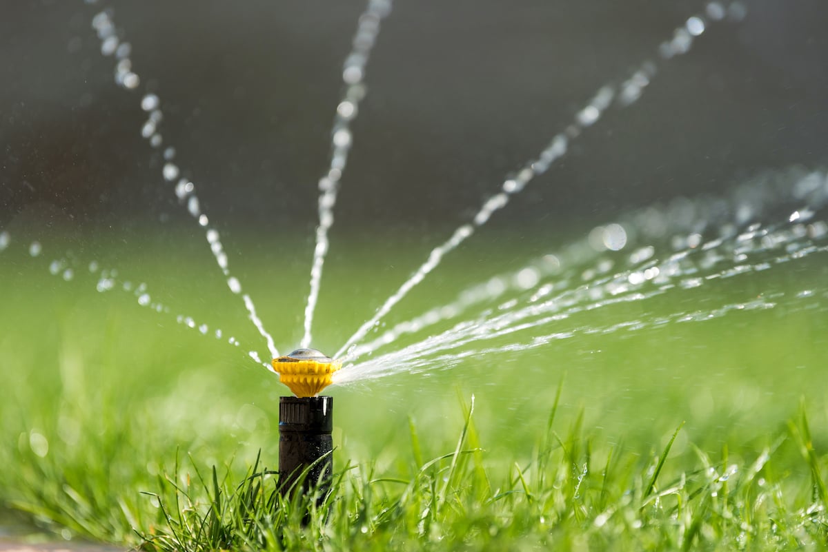 sprinkler watering grass in morning